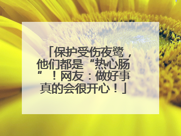 保护受伤夜鹭，他们都是“热心肠”！网友：做好事真的会很开心！