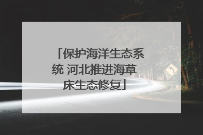 保护海洋生态系统 河北推进海草床生态修复