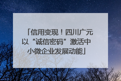 信用变现！四川广元以“诚信密码”激活中小微企业发展动能