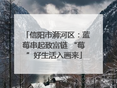 信阳市浉河区：蓝莓串起致富链 “莓”好生活入画来