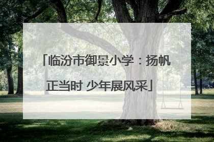 临汾市御景小学：扬帆正当时 少年展风采