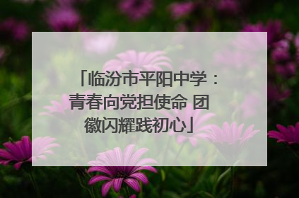 临汾市平阳中学：青春向党担使命 团徽闪耀践初心