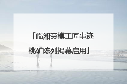 临湘劳模工匠事迹桃矿陈列揭幕启用