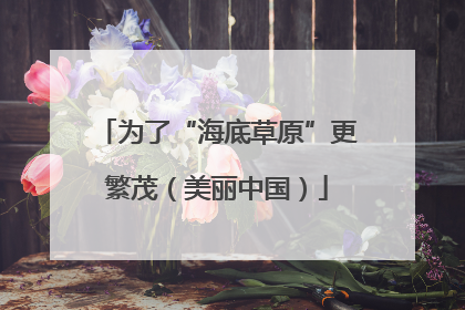 为了“海底草原”更繁茂（美丽中国）