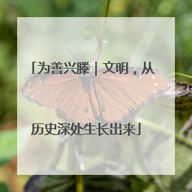 为善兴滕｜文明，从历史深处生长出来