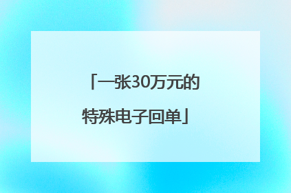 一张30万元的特殊电子回单