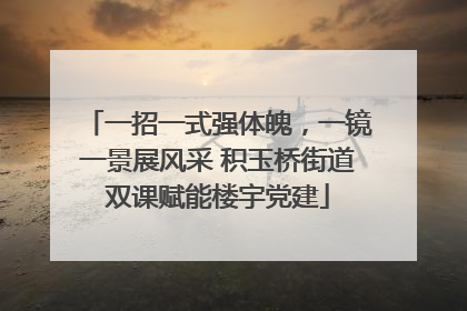 一招一式强体魄，一镜一景展风采 积玉桥街道双课赋能楼宇党建