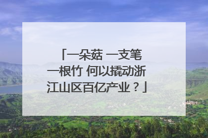 一朵菇 一支笔 一根竹 何以撬动浙江山区百亿产业？