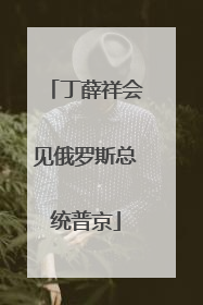 丁薛祥会见俄罗斯总统普京