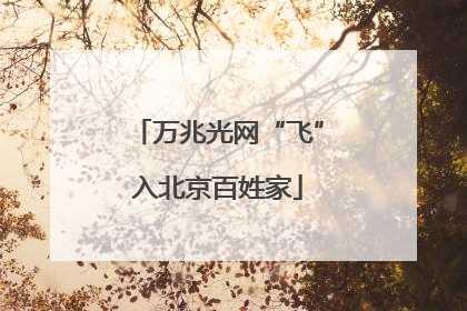 万兆光网“飞”入北京百姓家