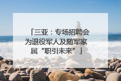 三亚：专场招聘会为退役军人及随军家属“职引未来”