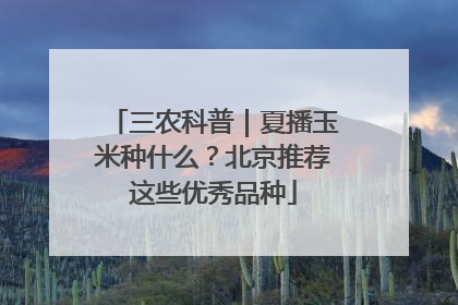 三农科普｜夏播玉米种什么？北京推荐这些优秀品种