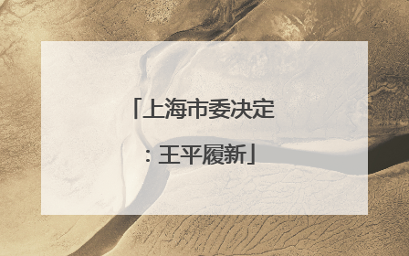上海市委决定：王平履新