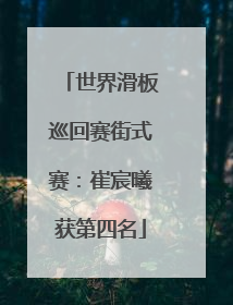 世界滑板巡回赛街式赛：崔宸曦获第四名