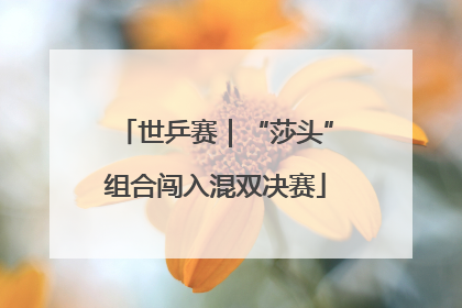 世乒赛｜“莎头”组合闯入混双决赛