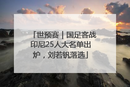 世预赛｜国足客战印尼25人大名单出炉，刘若钒落选