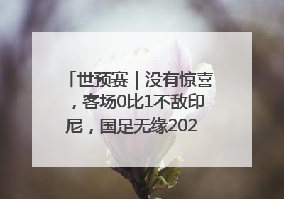 世预赛｜没有惊喜，客场0比1不敌印尼，国足无缘2026年世界杯
