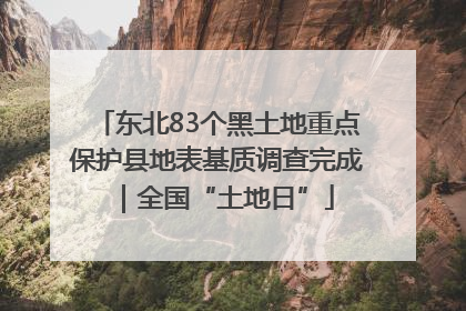 东北83个黑土地重点保护县地表基质调查完成｜全国“土地日”