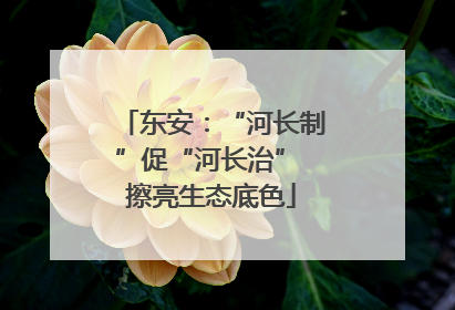 东安：“河长制”促“河长治” 擦亮生态底色