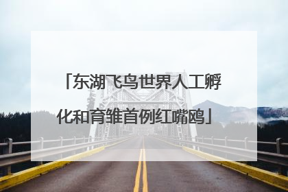 东湖飞鸟世界人工孵化和育雏首例红嘴鸥