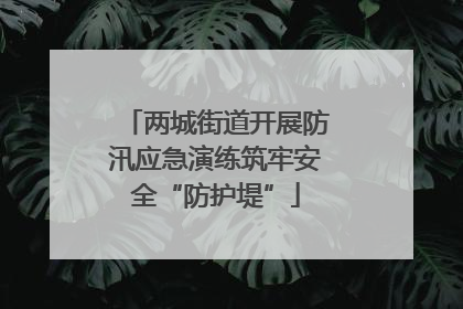 两城街道开展防汛应急演练筑牢安全“防护堤”
