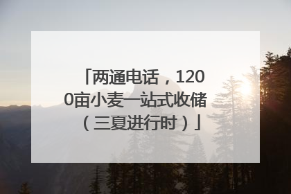 两通电话，1200亩小麦一站式收储（三夏进行时）