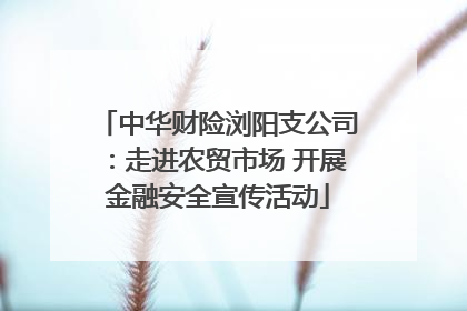中华财险浏阳支公司：走进农贸市场 开展金融安全宣传活动