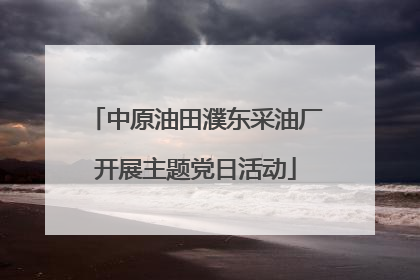 中原油田濮东采油厂开展主题党日活动
