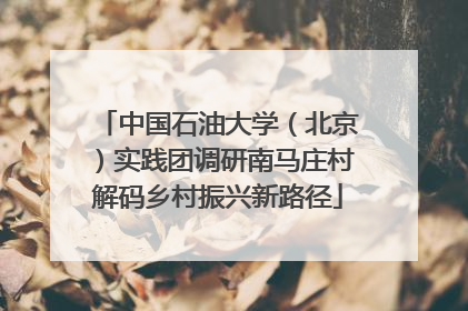 中国石油大学（北京）实践团调研南马庄村解码乡村振兴新路径