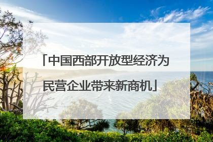 中国西部开放型经济为民营企业带来新商机