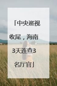 中央巡视收尾，海南3天连查3名厅官