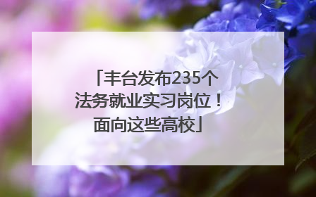 丰台发布235个法务就业实习岗位！面向这些高校