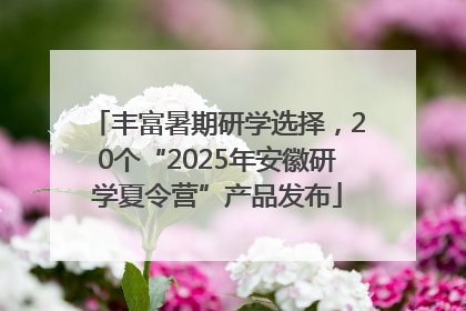 丰富暑期研学选择，20个“2025年安徽研学夏令营”产品发布