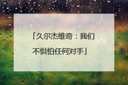 久尔杰维奇：我们不惧怕任何对手