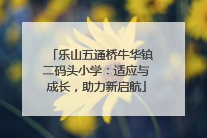 乐山五通桥牛华镇二码头小学：适应与成长，助力新启航