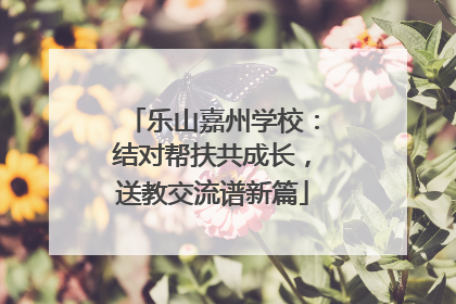 乐山嘉州学校：结对帮扶共成长，送教交流谱新篇