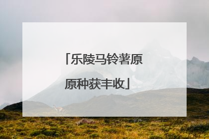 乐陵马铃薯原原种获丰收