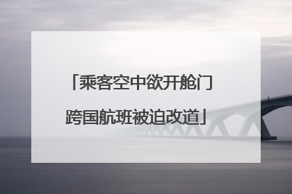 乘客空中欲开舱门 跨国航班被迫改道
