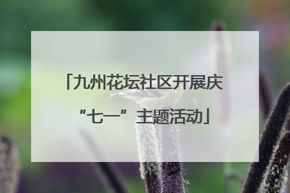 九州花坛社区开展庆“七一”主题活动