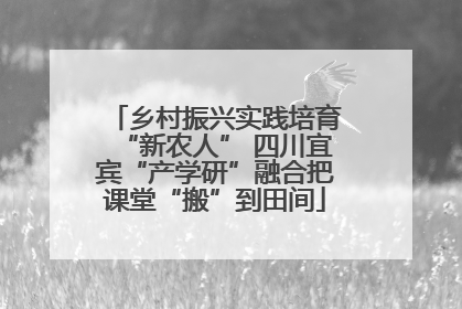 乡村振兴实践培育“新农人” 四川宜宾“产学研”融合把课堂“搬”到田间
