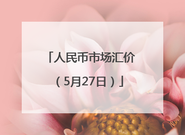 人民币市场汇价（5月27日）