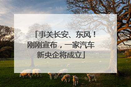 事关长安、东风！刚刚宣布，一家汽车新央企将成立