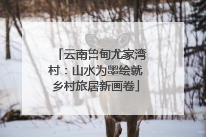 云南鲁甸尤家湾村：山水为墨绘就乡村旅居新画卷