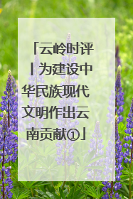 云岭时评丨为建设中华民族现代文明作出云南贡献①