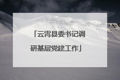 云霄县委书记调研基层党建工作