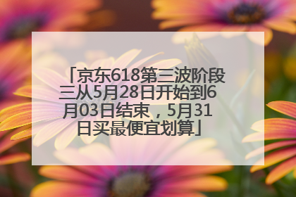 京东618第三波阶段三从5月28日开始到6月03日结束，5月31日买最便宜划算