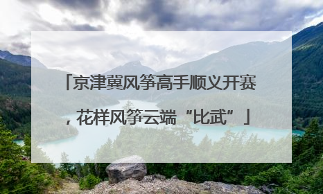 京津冀风筝高手顺义开赛，花样风筝云端“比武”