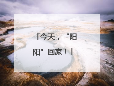 今天，“阳阳”回家！