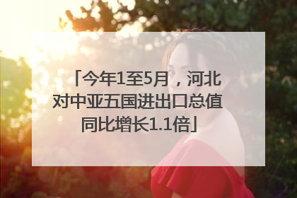 今年1至5月，河北对中亚五国进出口总值同比增长1.1倍