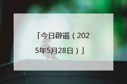今日辟谣（2025年5月28日）